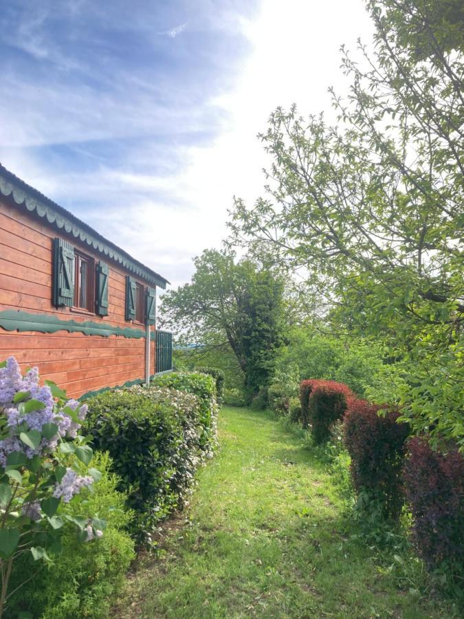 فيلا Domaine La Carriere Toulon-sur-Allier المظهر الخارجي الصورة